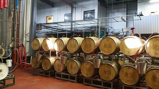 Firestone Walker Brewing
