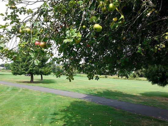 Gresham Golf Course