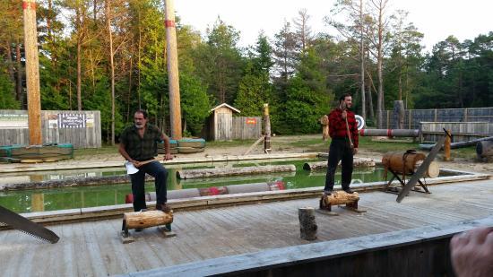 Jack Pine Lumberjack Shows
