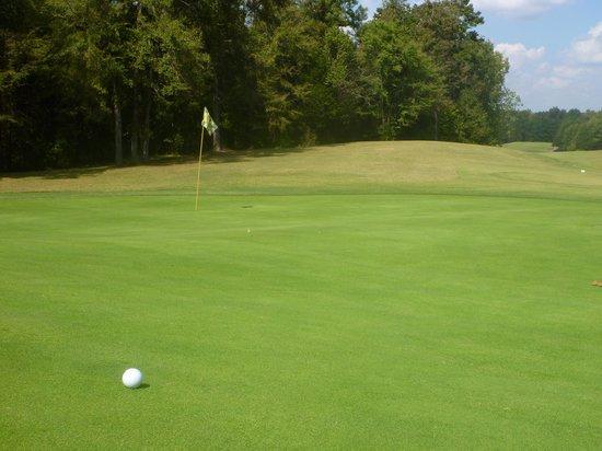 Regent Park Golf Club