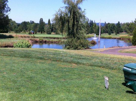 Rock Creek Country Club