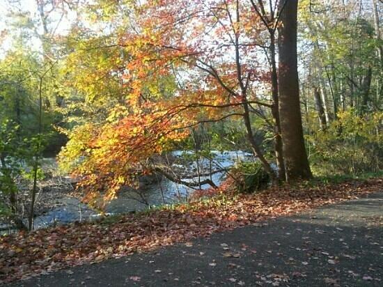 Struble Trail