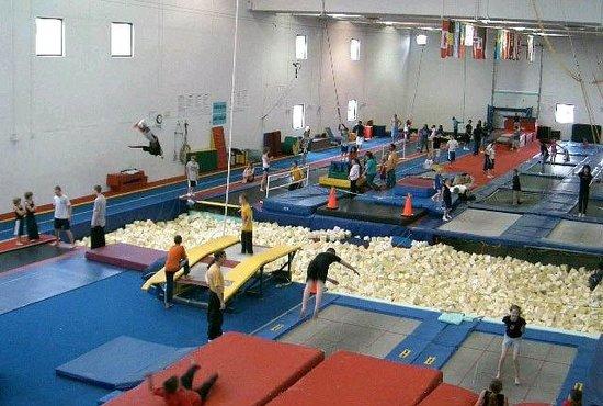 Trampoline World Gymnastics