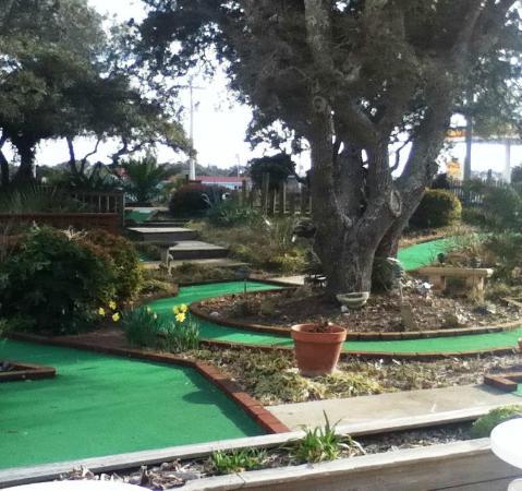 Uncle Eddy's Frozen Custard and 18-Hole Mini Golf