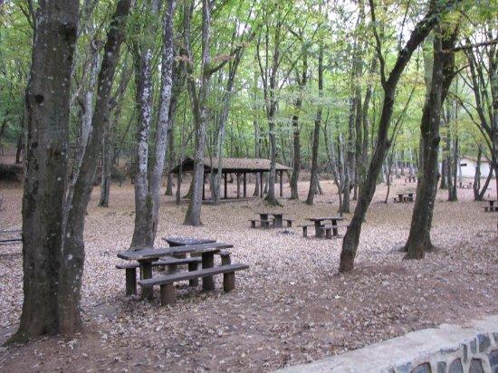 Falih Rifki Atay Nature Park