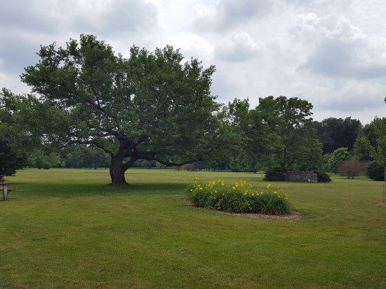Mount Saint Mary Park