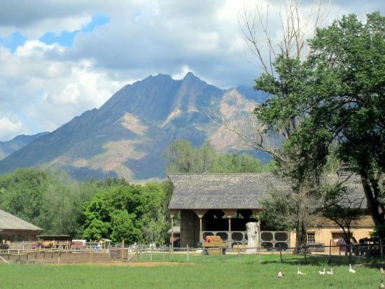 Wheeler Historic Farm