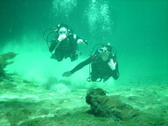 Halocline Diving