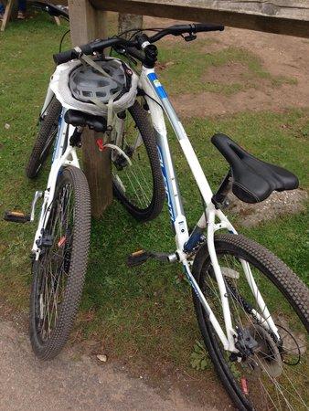 Forest Cycle Hire Ltd-Day Bike Tours