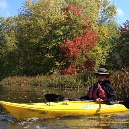 Free Spirit Tours
