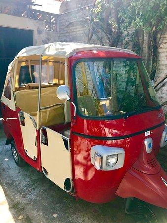 Lucky Tuk Tours