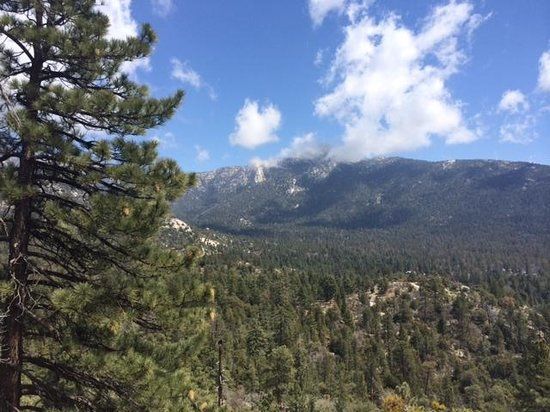 Idyllwild Nature Center