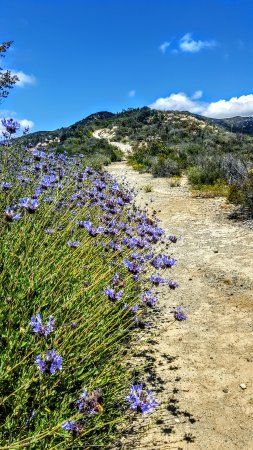 McGinty Mountain Trailhead