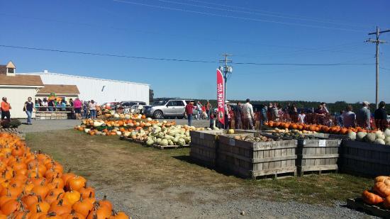 Orr's Farm Market