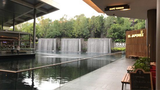 Oasis Coyoacan
