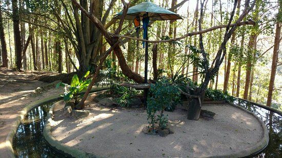 Zoo Parque Loro Puebla