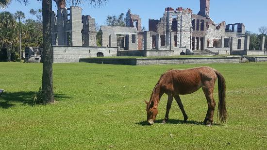 Cumberland Island National Seashore Museum