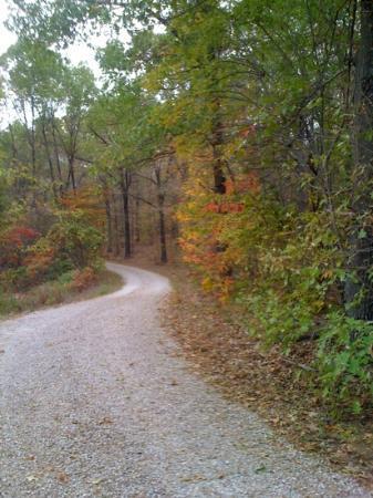 Mark Twain National Forest