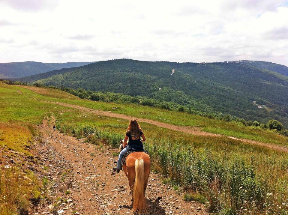 Cheat Mountain Ridge Natural Trail