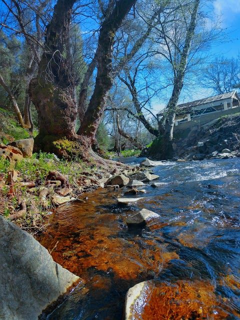 Dragoon Gulch Trail Head