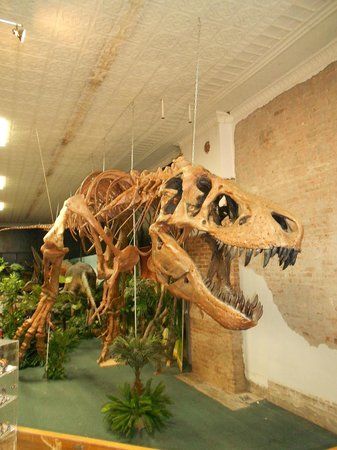 Makoshika Dinosaur Museum