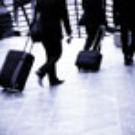 The Goose Pub N Eatery