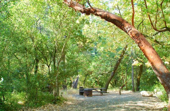 Bothe-Napa Valley State Park
