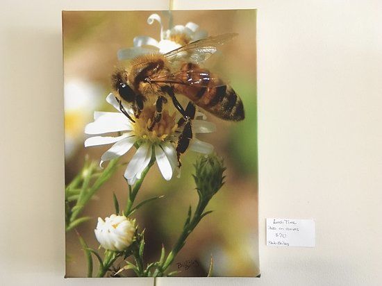 Painted Wren Art Gallery