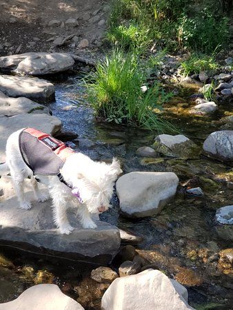 Three Bridges Oak Preserve Trail