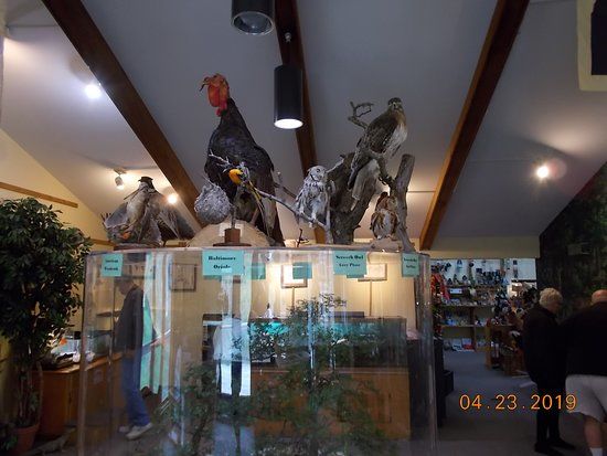 Martha Lafite Thompson Nature Sanctuary