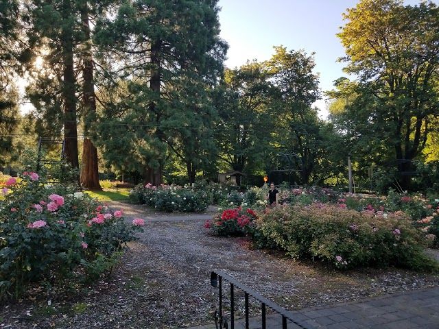 Avery Park and Natural Area