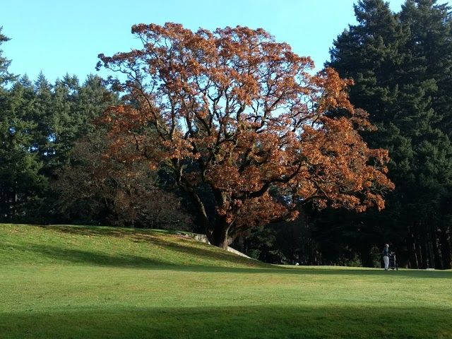 Royal Colwood Golf Club