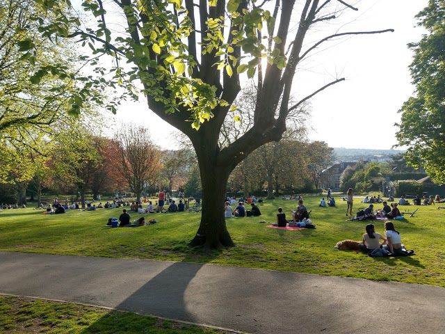 St Andrews Park