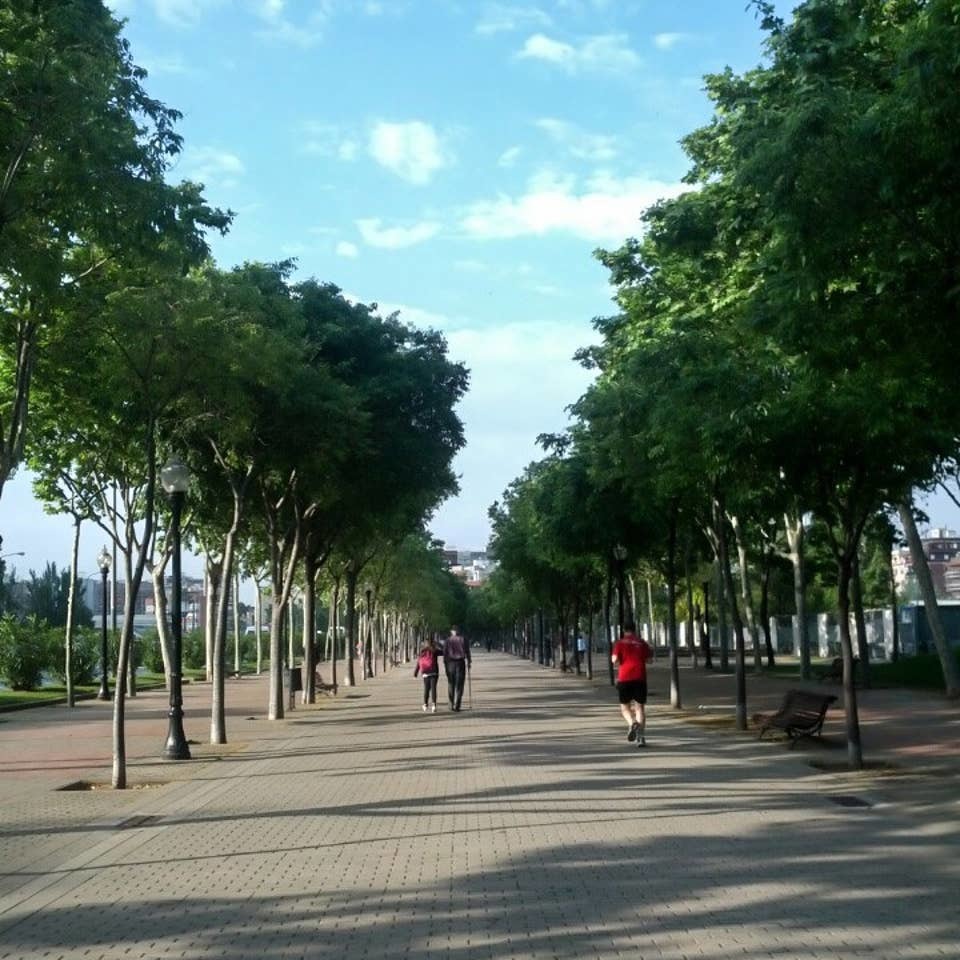 Parque de Can Dragó