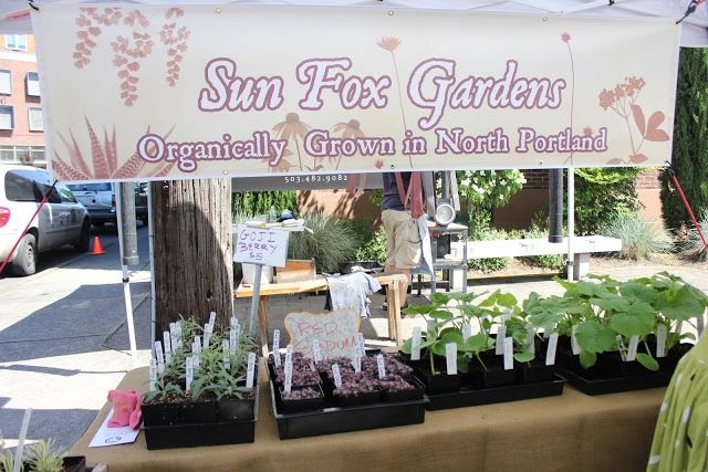 Hollywood Farmers Market