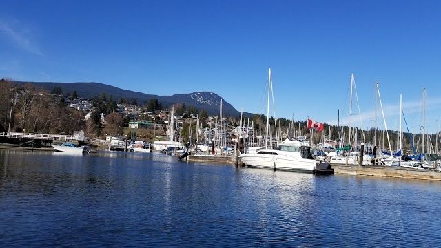Gibsons Marina