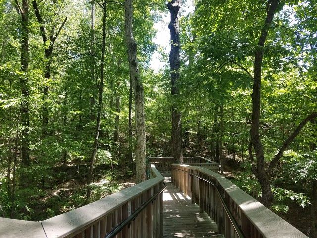 The University of Alabama Arboretum