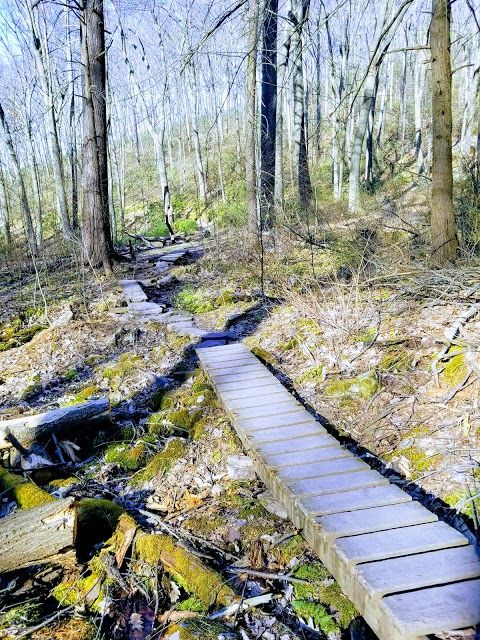 Mount Nittany Trailhead