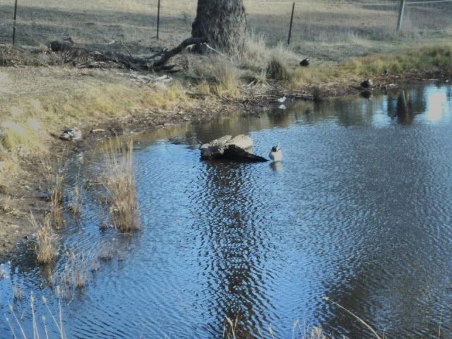 Mount Majura Walking and Riding Trail