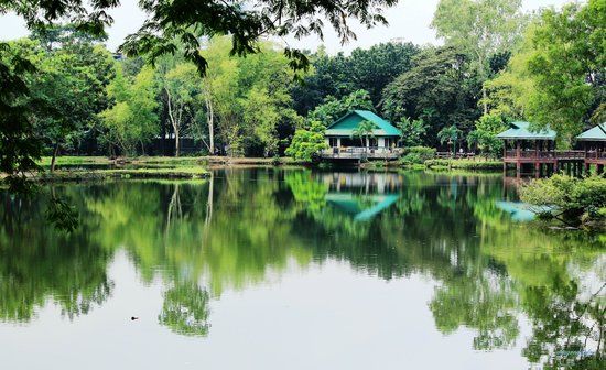 Ninoy Aquino Parks and Wildlife Center