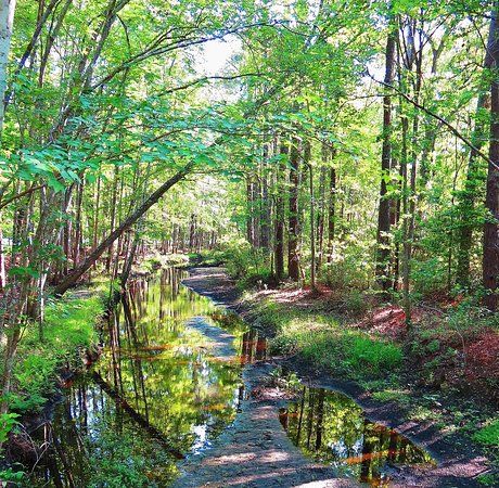 Walterboro Wildlife Sanctuary