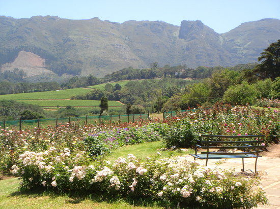 Chart Farm