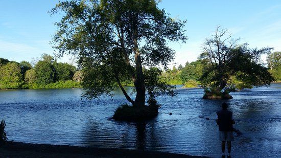 Delta Ponds City Park