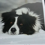 Cataraqui Truck Stop