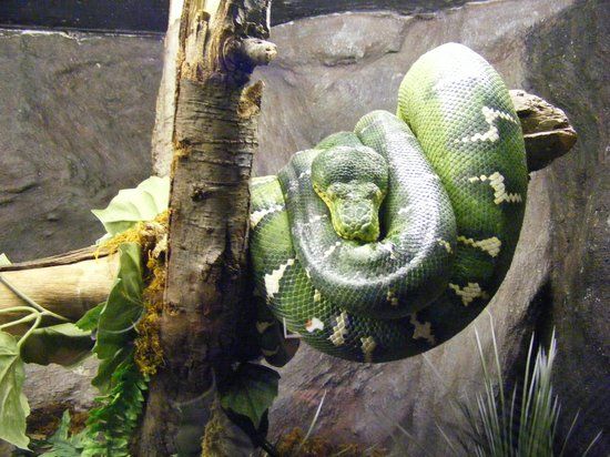 Zoologico de San Juan de Aragon