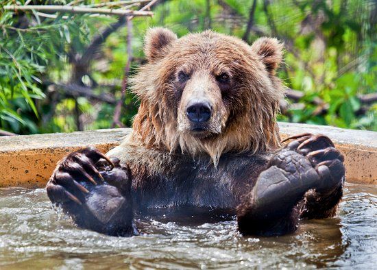 Kamloops Wildlife Park