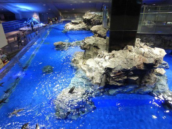 Sumida Aquarium