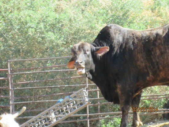 Gilcrease Nature Sanctuary