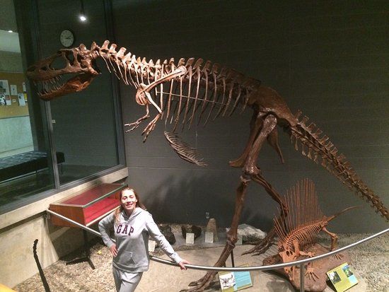 Earth Sciences Museum