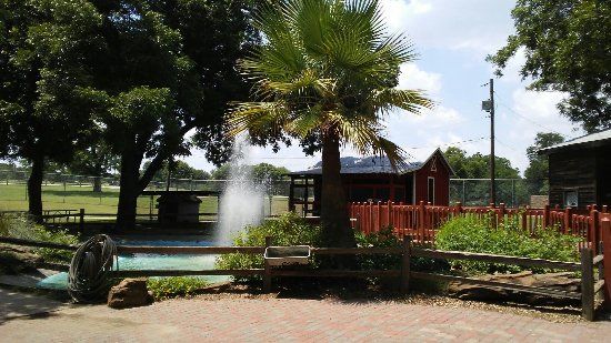 Fritz Park Petting Farm
